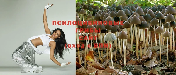 винт Аркадак