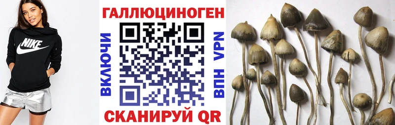 Псилоцибиновые грибы мицелий  МЕГА ссылка  Пучеж 